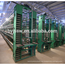 Alibaba suministro de equipos de cría para granja de pollos